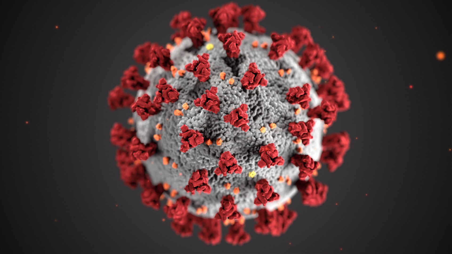 Virus Under Microscope
